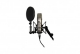 Large Diaphragm Condenser Microphone (Single)
